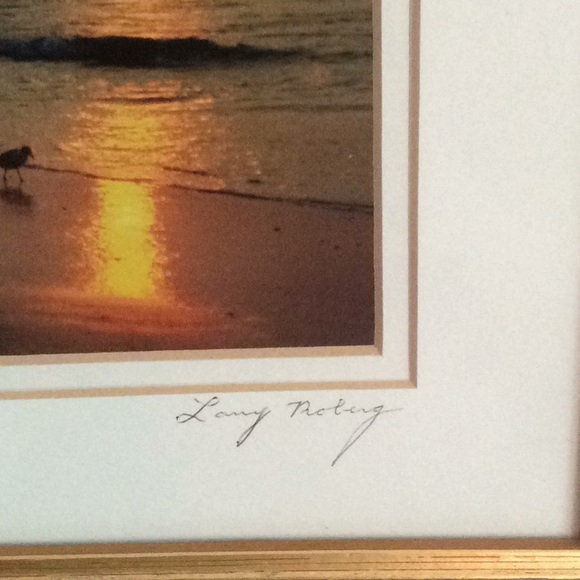 Birds at sunrise signed framed photo - Picture 6 of 7
